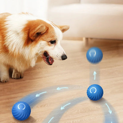 Smart Dog Toy Ball for Dogs -Free Shipping - Aurelia Clothing