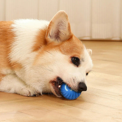 Smart Dog Toy Ball for Dogs -Free Shipping - Aurelia Clothing