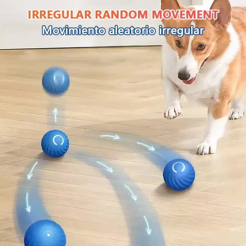 Smart Dog Toy Ball for Dogs -Free Shipping - Aurelia Clothing